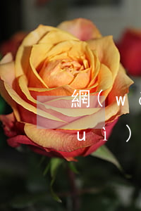 網(wǎng)貸欠2萬(wàn)會(huì)被起訴嗎(欠2萬(wàn)網(wǎng)貸多久會(huì)被起訴)