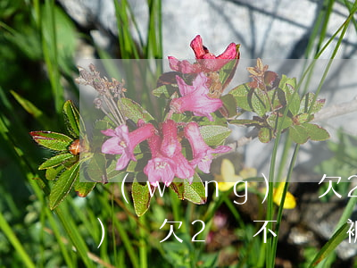 網(wǎng)貸欠2萬不還(網(wǎng)貸欠2萬不還會被起訴嗎)