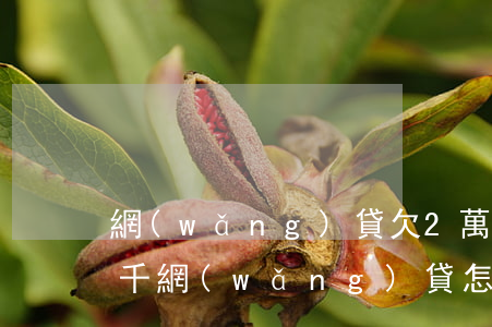 網(wǎng)貸欠2萬元該怎么辦(欠了兩千網(wǎng)貸怎么辦)
