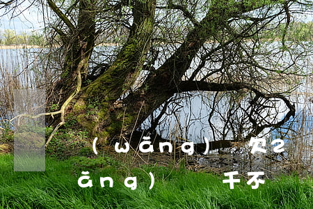網(wǎng)貸欠2萬會不會坐牢(網(wǎng)貸兩千不還會坐牢嗎)