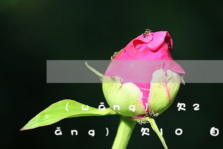 網(wǎng)貸欠2萬自救方法-網(wǎng)貸欠10萬自救方法