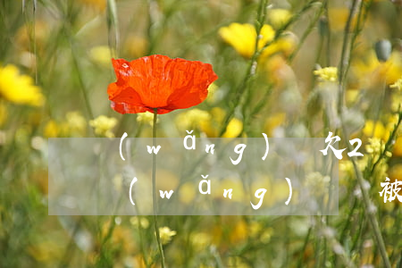 網(wǎng)貸欠2萬起訴罰款多少(欠了網(wǎng)貸會被起訴嗎)
