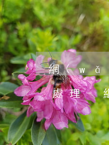 網(wǎng)貸欠2萬逾期無力償還怎么處理-網(wǎng)貸欠2萬逾期無力償還怎么處理呢