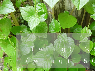 網(wǎng)貸欠3000元五年未還(網(wǎng)貸5000三年沒還了會(huì)怎么樣)