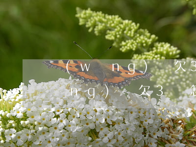 網(wǎng)貸欠3000怎么辦(網(wǎng)貸欠3萬怎么辦)