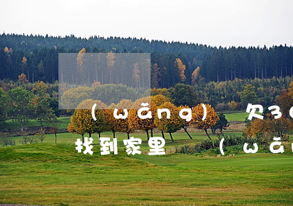 網(wǎng)貸欠3000會(huì)找到家里嗎(網(wǎng)貸的人找到家里了)