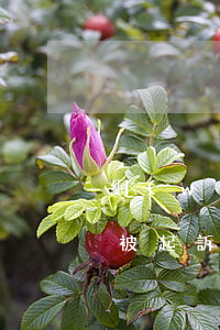 網(wǎng)貸欠3000會(huì)被起訴(網(wǎng)貸欠3000會(huì)被起訴)