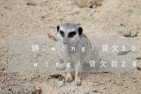 網(wǎng)貸欠3000被訴訟嗎(網(wǎng)貸欠款2800會(huì)被起訴嗎)