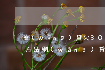 網(wǎng)貸欠30萬(wàn)自救方法(網(wǎng)貸欠40萬(wàn)自救方法)