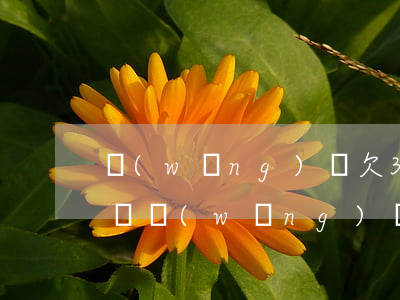 網(wǎng)貸欠34萬(wàn)怎么還(網(wǎng)貸欠34萬(wàn)怎么還)