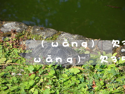 網(wǎng)貸欠3500元要坐牢(網(wǎng)貸欠3500元要坐牢)