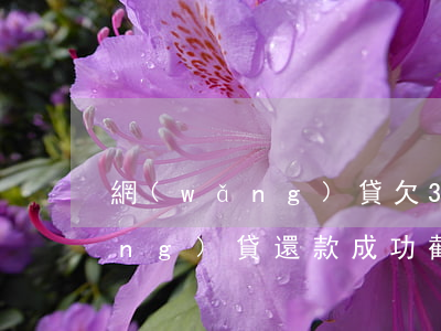 網(wǎng)貸欠3500截圖(網(wǎng)貸還款成功截圖3500)
