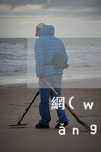 網(wǎng)貸欠35萬元怎么辦(網(wǎng)貸欠了五千怎么辦)