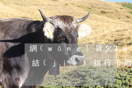 網(wǎng)貸欠3w會(huì)被凍結(jié)銀行卡嗎(欠了網(wǎng)貸會(huì)凍結(jié)銀行卡嗎)