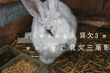 網(wǎng)貸欠3w會影響房貸嗎(網(wǎng)貸欠三萬影響公積金貸款嗎)
