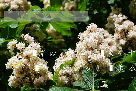 網(wǎng)貸欠3十幾萬怎么辦(欠三萬網(wǎng)貸怎么辦)