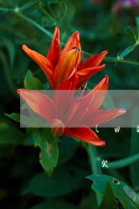 網(wǎng)貸欠3千會(huì)起訴嗎(欠網(wǎng)貸三千塊錢會(huì)被起訴嗎)