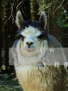 網(wǎng)貸欠3萬(wàn)補(bǔ)救的辦法-網(wǎng)貸欠3萬(wàn)補(bǔ)救的辦法是什么