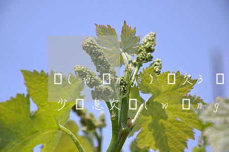 網(wǎng)貸欠3萬一個(gè)月多少罰息(欠網(wǎng)貸3萬算多嗎)