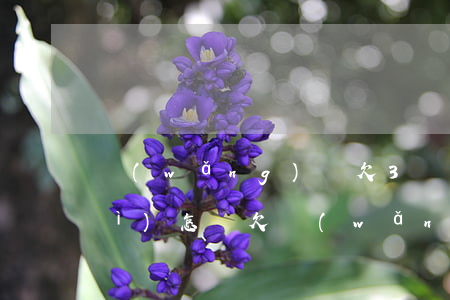 網(wǎng)貸欠3萬兩年沒還會(huì)怎樣(欠網(wǎng)貸了2萬三年沒還)