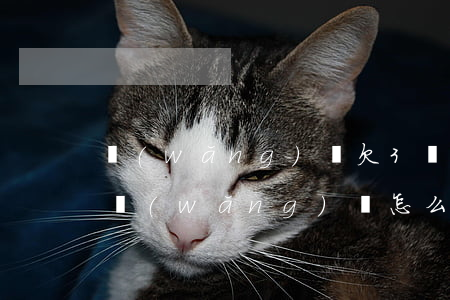 網(wǎng)貸欠3萬怎么回頭(欠下三千網(wǎng)貸怎么辦)
