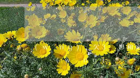 網(wǎng)貸欠3萬想和家里攤牌(欠了三萬網(wǎng)貸)