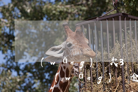 網(wǎng)貸欠3萬會拍賣我的按揭房嗎(網(wǎng)貸逾期會拍賣按揭房嗎)