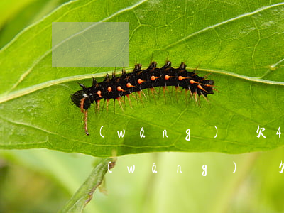 網(wǎng)貸欠4000元會被起訴嗎(網(wǎng)貸欠4500會起訴嗎)