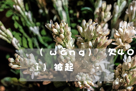 網(wǎng)貸欠4000塊錢會(huì)被起訴嗎-