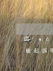 網(wǎng)貸欠4000會(huì)被起訴嗎(網(wǎng)貸欠四千多會(huì)被法院起訴嗎)