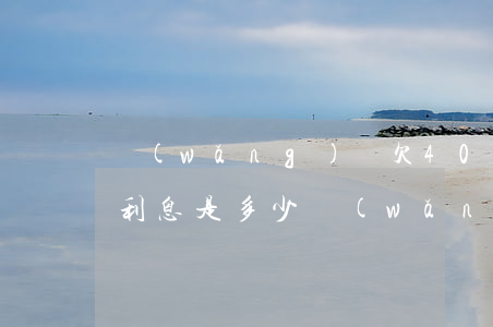 網(wǎng)貸欠40萬(wàn)一年利息是多少(網(wǎng)貸40萬(wàn)利息怎么算)