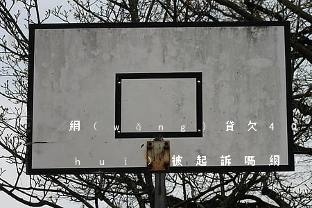 網(wǎng)貸欠40萬(wàn)會(huì)被起訴嗎(網(wǎng)貸欠款40萬(wàn))