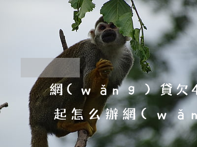 網(wǎng)貸欠40萬(wàn)還不起怎么辦(網(wǎng)貸欠了40萬(wàn)還不起怎么辦)