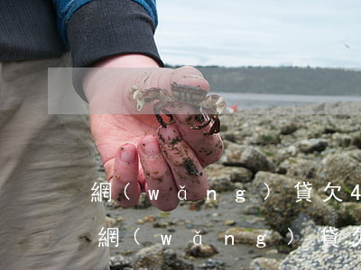 網(wǎng)貸欠40萬沒錢還怎么辦-網(wǎng)貸欠40萬沒錢還怎么辦呢