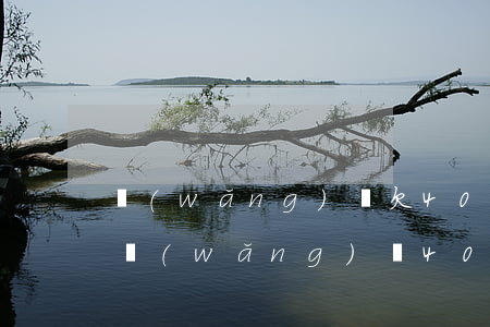 網(wǎng)貸欠40萬還不上怎么辦(欠網(wǎng)貸40萬我該怎么辦)