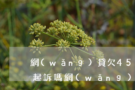 網(wǎng)貸欠4500會(huì)起訴嗎(網(wǎng)貸欠4500會(huì)起訴嗎)