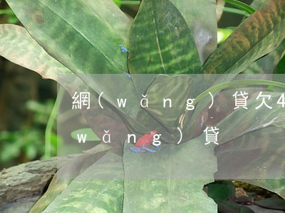 網(wǎng)貸欠45萬(欠了40萬網(wǎng)貸)