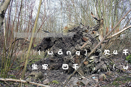 網(wǎng)貸欠4千塊錢會(huì)坐牢嗎(四千塊錢網(wǎng)貸會(huì)坐牢嗎)