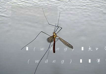 網(wǎng)貸欠4年了 還會催收嗎(欠網(wǎng)貸兩年了還催收)