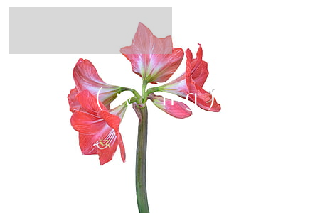 網(wǎng)貸欠4年會(huì)被起訴(網(wǎng)貸好幾年沒(méi)還被起訴)