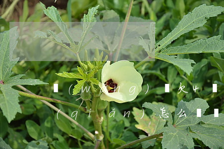 網(wǎng)貸欠4萬(wàn)多塊錢(qián)怎么辦會(huì)坐牢嗎(欠網(wǎng)貸幾千塊錢(qián)會(huì)坐牢嗎)