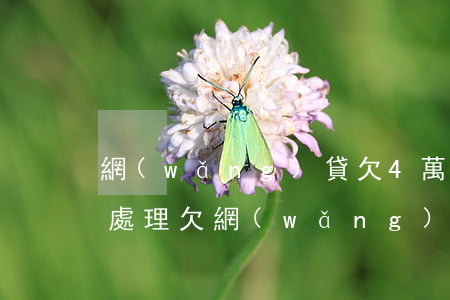 網(wǎng)貸欠4萬(wàn)多怎么處理(欠網(wǎng)貸四萬(wàn)塊錢怎么辦)