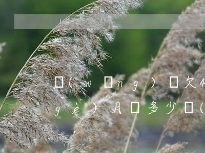 網(wǎng)貸欠4萬(wàn)每個(gè)月還多少錢(qián)(網(wǎng)貸欠4w多嗎)
