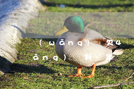 網(wǎng)貸欠4萬判多少年(欠網(wǎng)貸判幾年)