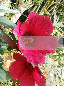 網(wǎng)貸欠4萬征信花了(網(wǎng)貸借太多征信花了怎么辦)