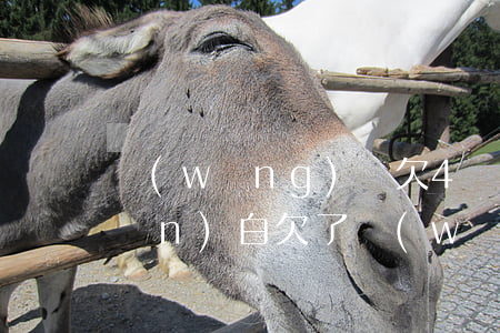 網(wǎng)貸欠4萬怎么跟父母擔(dān)白(欠了網(wǎng)貸一萬多怎么跟父母說)
