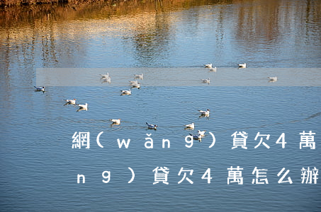 網(wǎng)貸欠4萬怎么辦-網(wǎng)貸欠4萬怎么辦理
