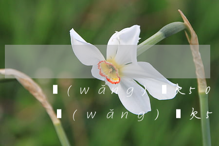 網(wǎng)貸欠5000塊錢會起訴嗎(網(wǎng)貸欠5000會被起訴嗎)