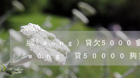 網(wǎng)貸欠5000會判刑嗎(網(wǎng)貸50000夠判刑嗎)