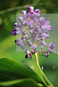 網(wǎng)貸欠5000沒還(網(wǎng)貸欠了5000怎么辦)